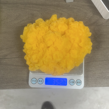 鲜品金耳品相好有保证