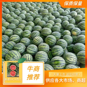 【优选】麒麟瓜美都8424西瓜电商/市场货全国代发