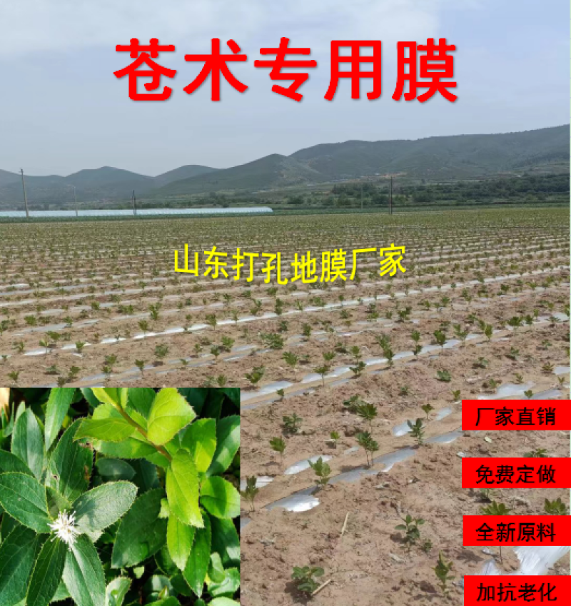 加厚农用薄膜药材专用膜苍术地黄粉防己生地打孔地膜银黑膜反