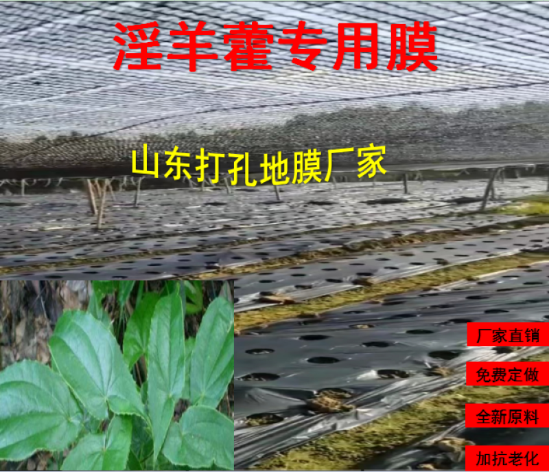 加厚农用薄膜药材专用膜苍术地黄粉防己生地打孔地膜银黑膜反