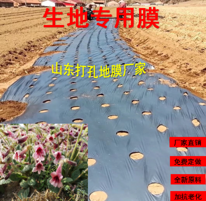 加厚农用薄膜药材专用膜苍术地黄粉防己生地打孔地膜银黑膜反