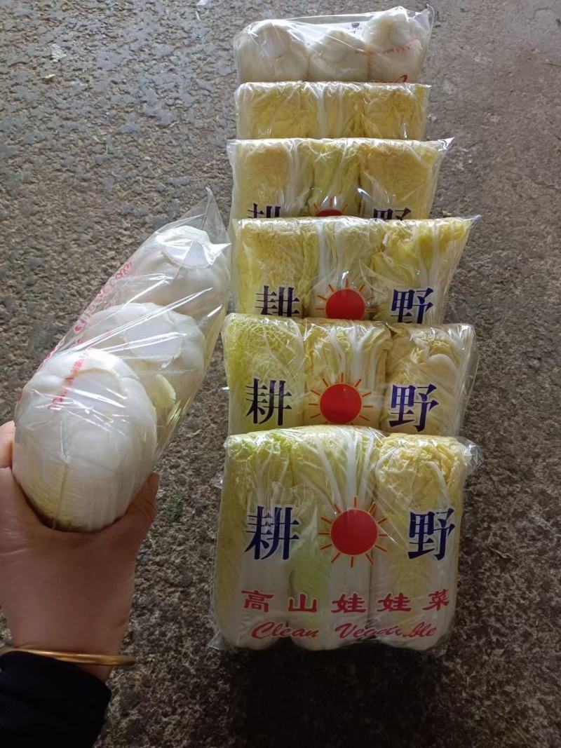 河北邯郸精品娃娃菜产地直发大小娃娃菜都有