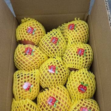 新疆阿克苏冰糖心富士十斤装欢迎电联质量保证，品质无忧