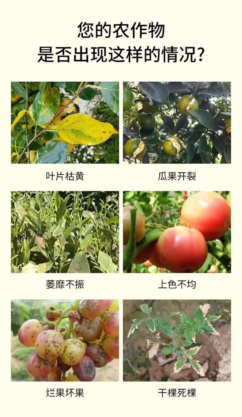 氨基酸水溶肥生根养根保花保果壮秧膨果提质增产