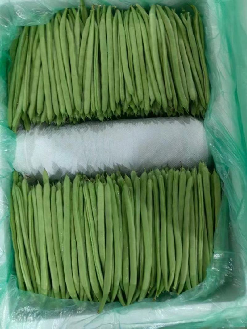 加长小金豆种子