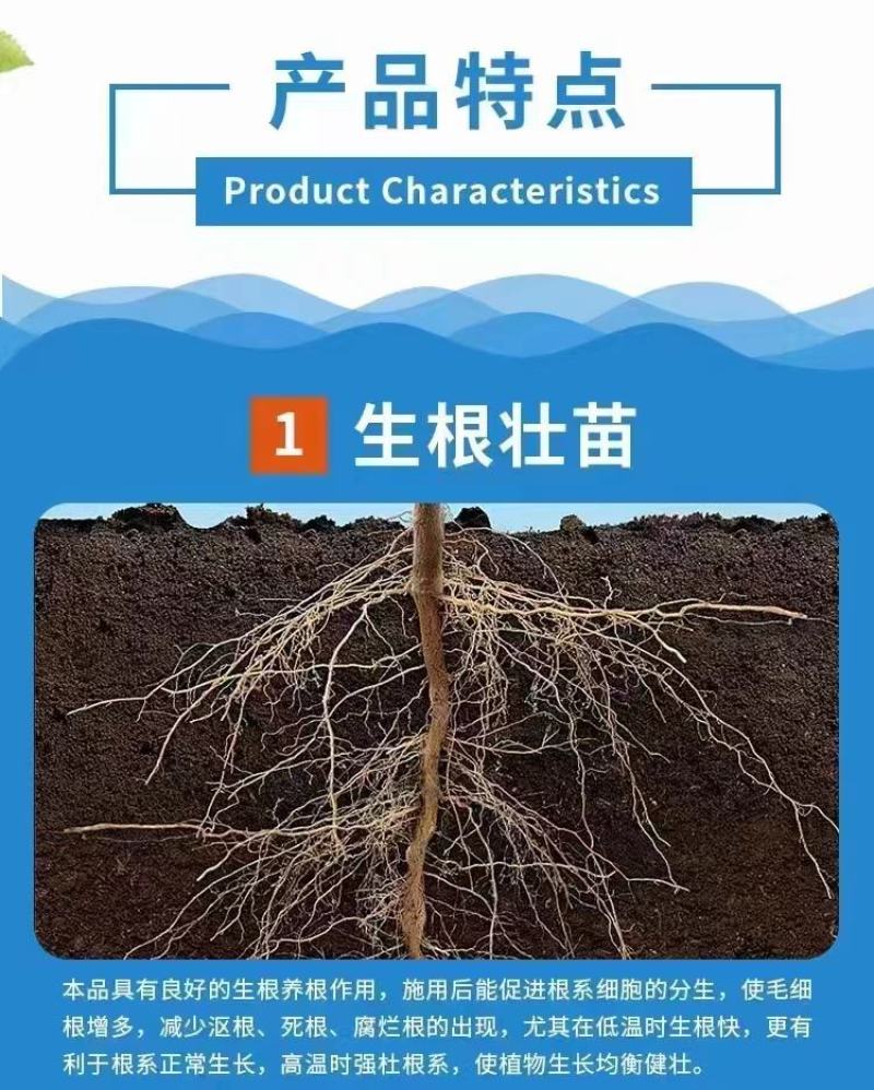 海藻鱼蛋白生根壮秧保花保果改良土壤高抗重茬