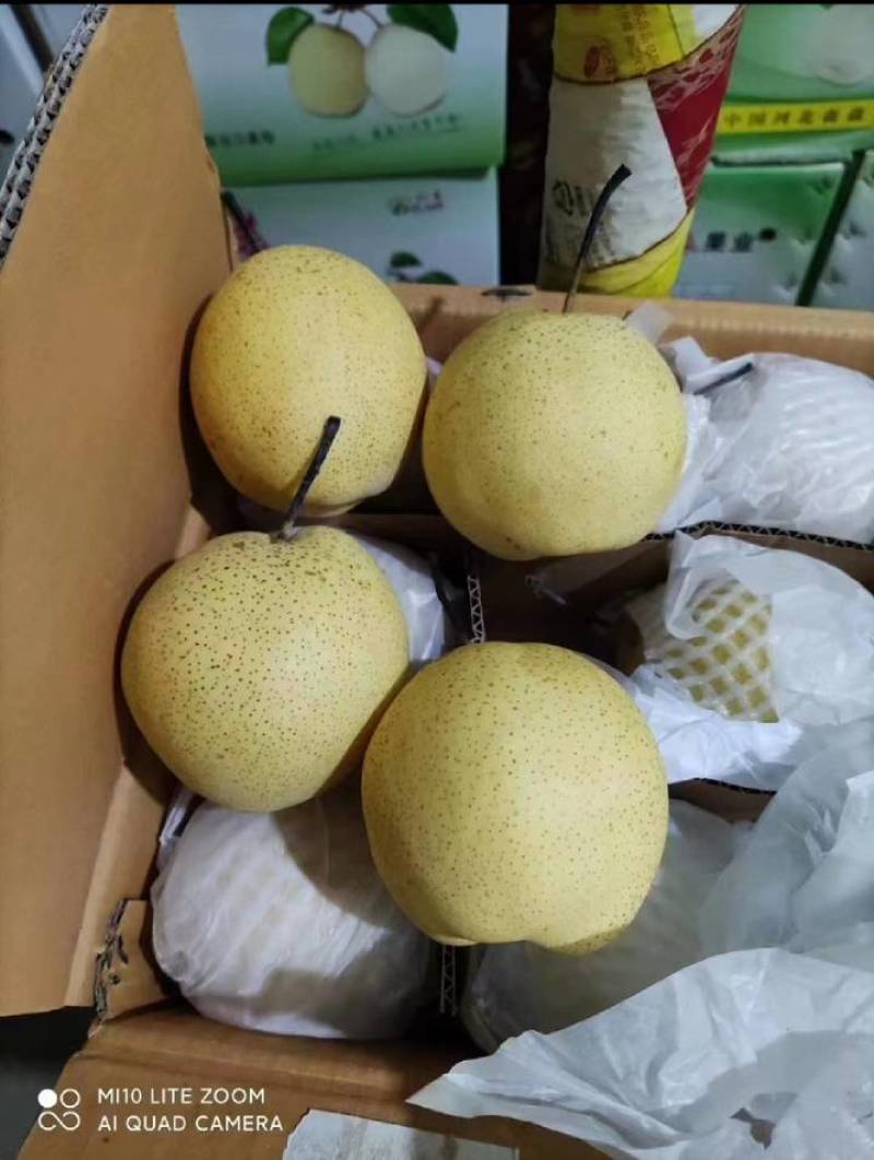 【来电详谈】雪花梨产地大量供应对接批发市场商超及电商