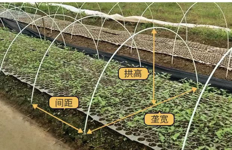 厂家玻璃纤维棒实心圆棒拱棚支架高强度帐篷支撑杆无碱纤维棒