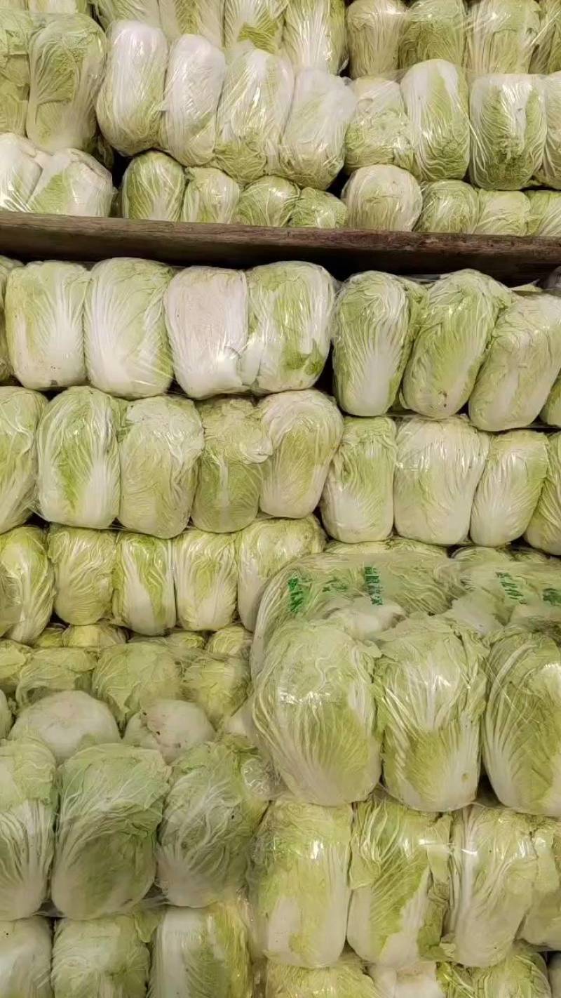 夏邑县黄心白菜，青杂三号，每天走货30万斤，基地