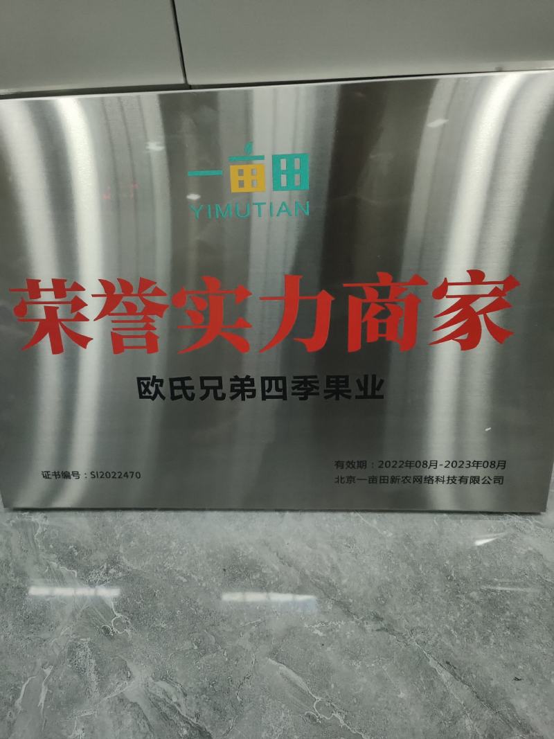 福建甜心柚桔柚柑橘产地直发价格便宜