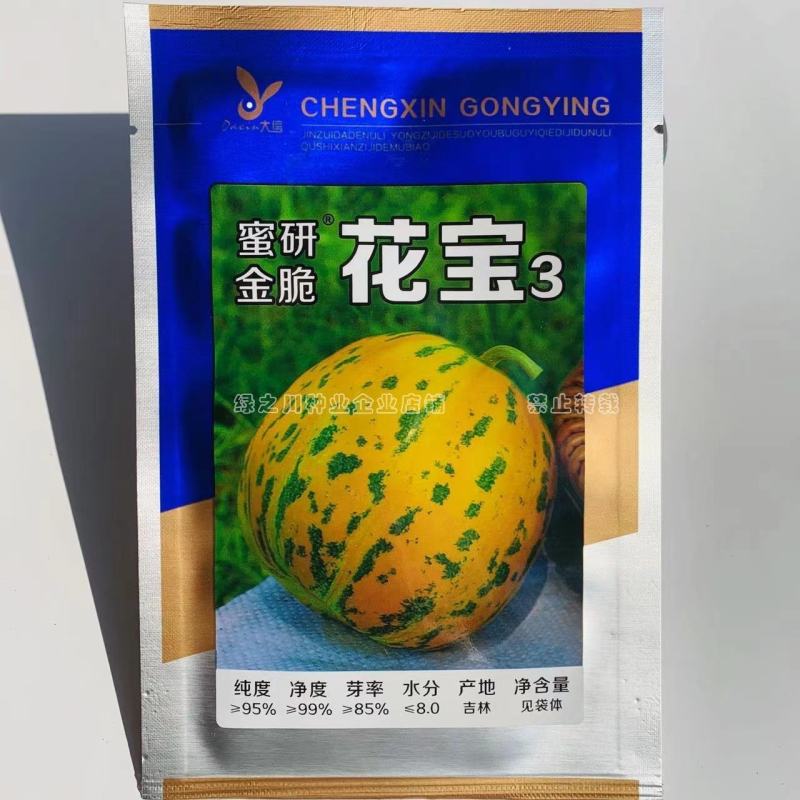 原装蜜研金脆花宝3甜瓜种子高糖绿肉青顶，底色金黄香瓜种子