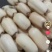 6号品种新35老35花𣄃莲，珍珠莲藕菜藕，藕种需要的和