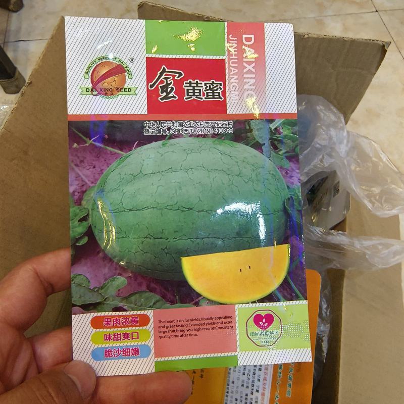 金黄蜜小果型礼品西瓜种子皮薄单株座果3个囗感口好果肉黄