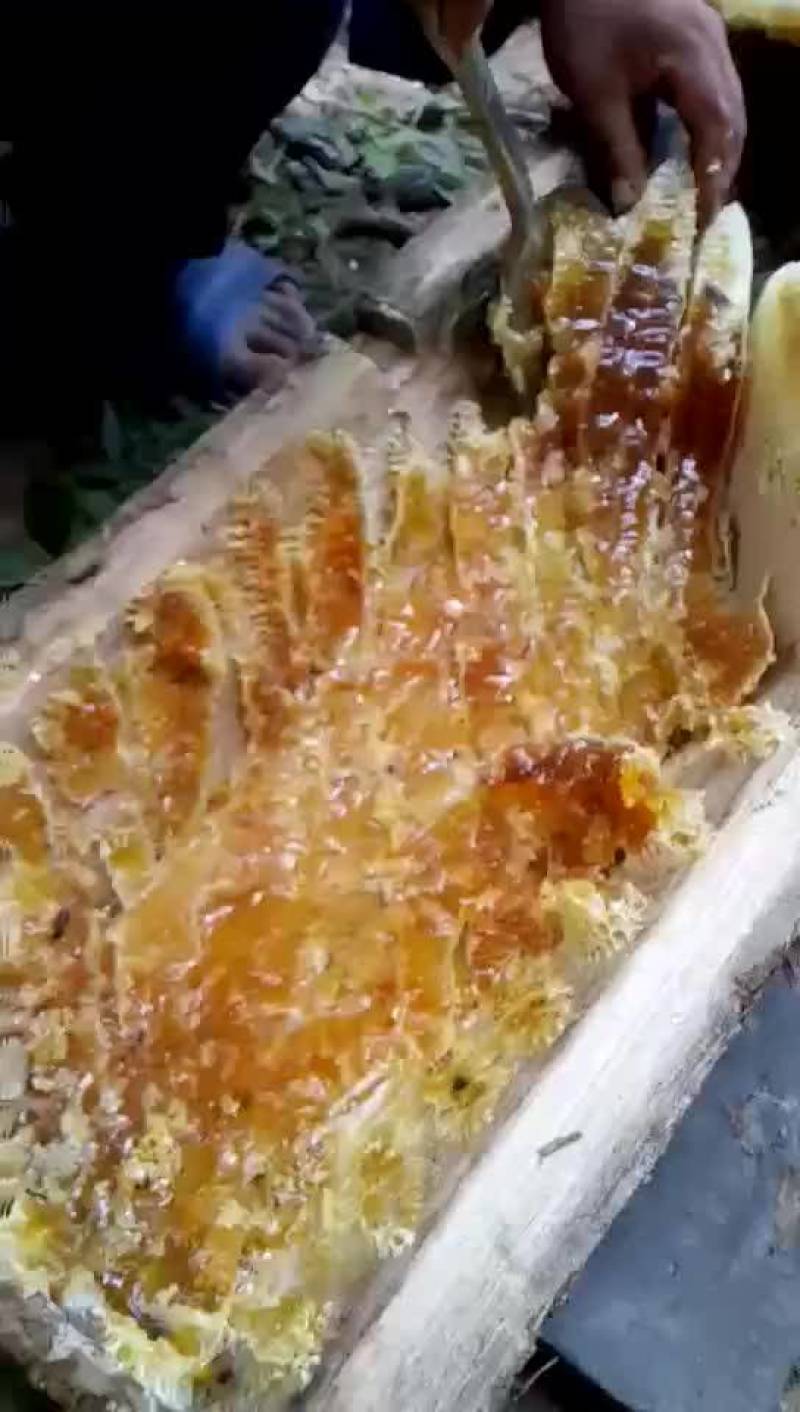 深山土蜂蜜