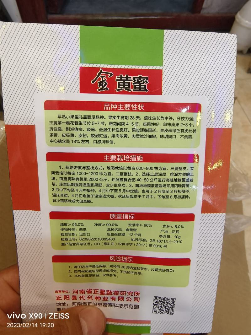 金黄蜜小果型礼品西瓜种子皮薄单株座果3个囗感口好果肉黄