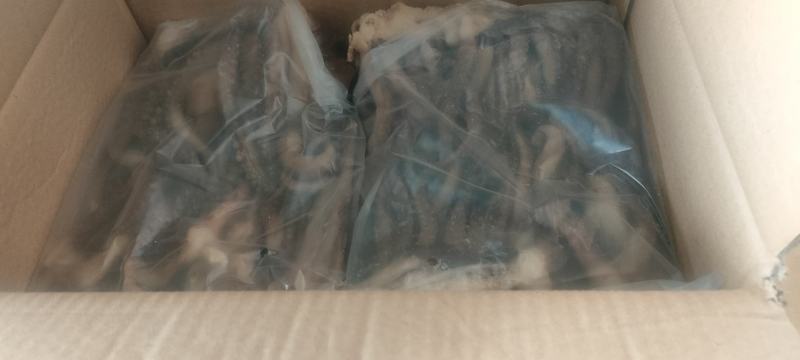 鱿鱼鱿鱼爪鱿鱼须1斤*6板重6斤今年新货