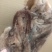 鱿鱼鱿鱼爪鱿鱼须1斤*6板重6斤今年新货