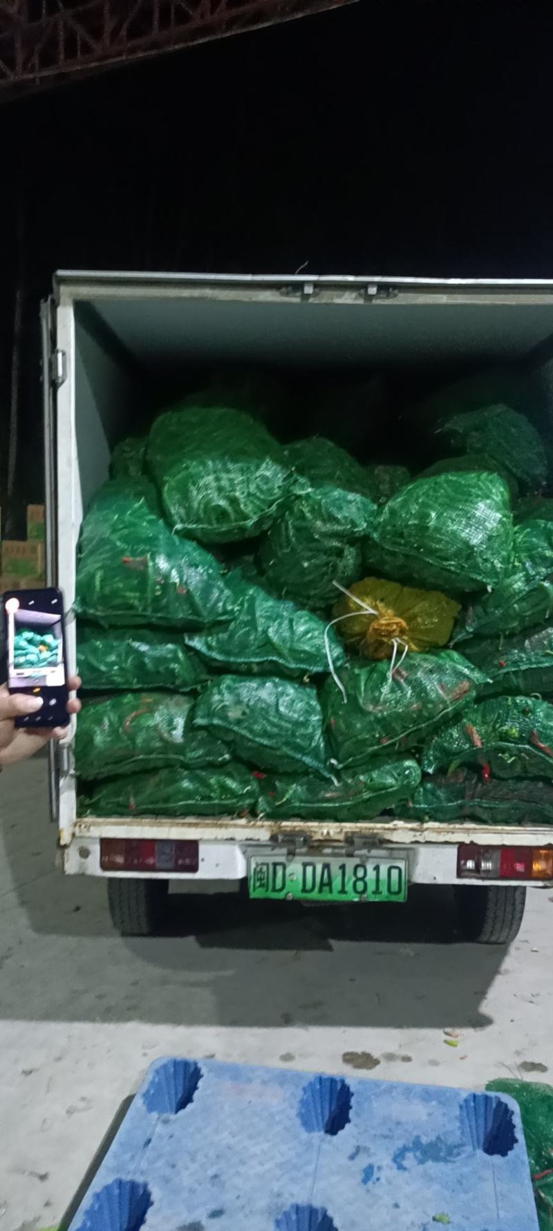 电商货圆椒菜椒甜椒级次椒大量出货价格优惠市场商超电商