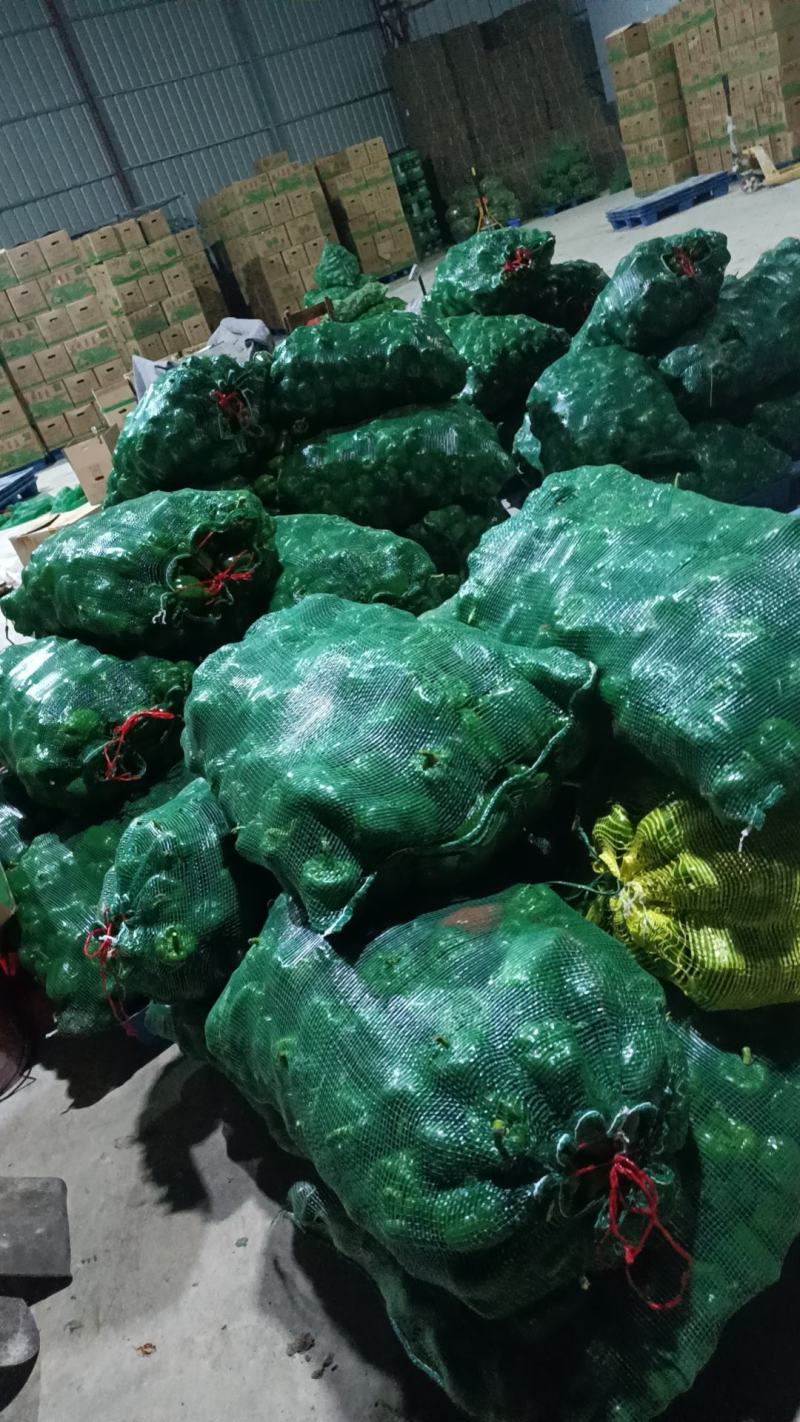 电商货圆椒菜椒甜椒级次椒大量出货价格优惠市场商超电商