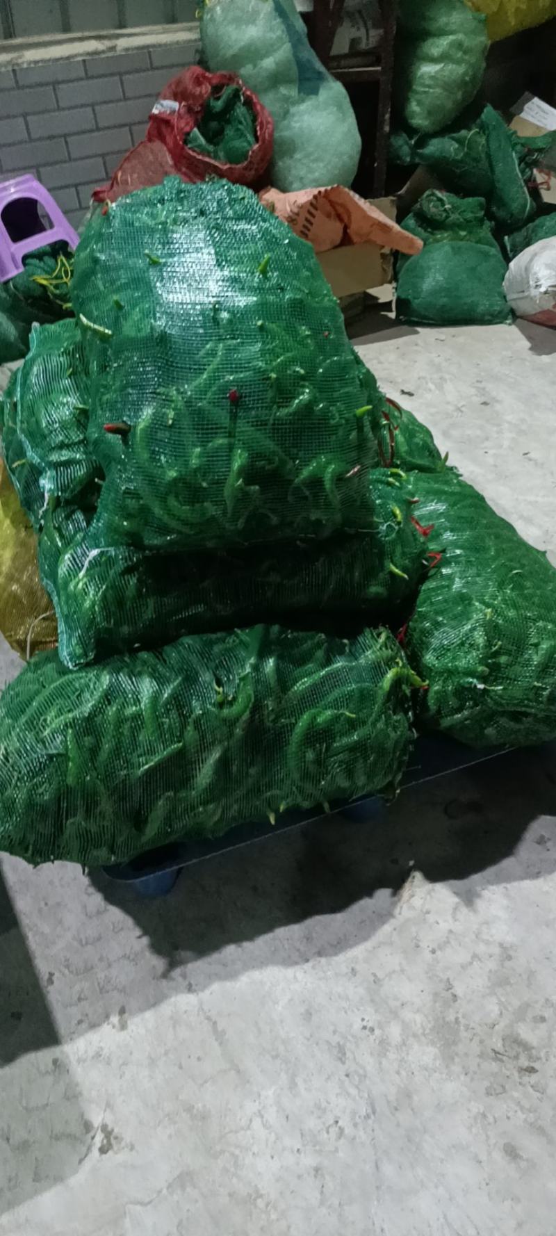 食堂货，黄皮椒，电商货螺丝椒，新鲜次椒二级货，量大