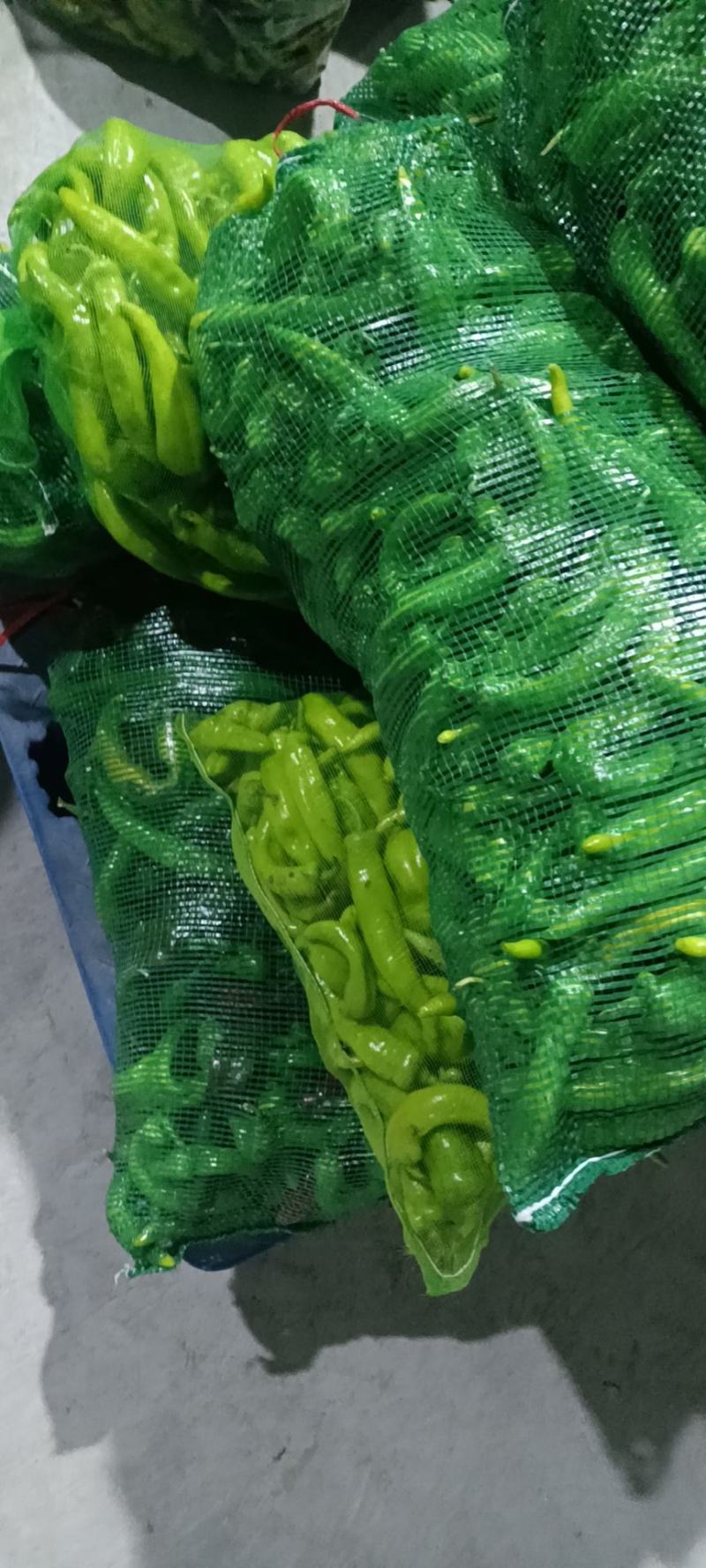 食堂货，黄皮椒，电商货螺丝椒，新鲜次椒二级货，量大