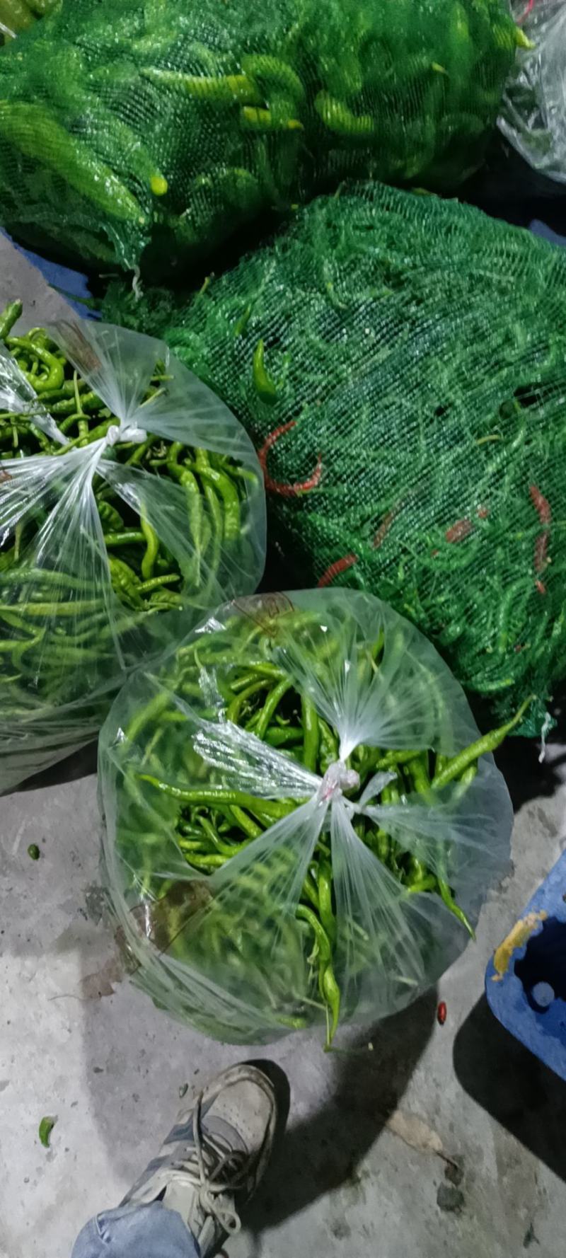 食堂货，黄皮椒，电商货螺丝椒，新鲜次椒二级货，量大