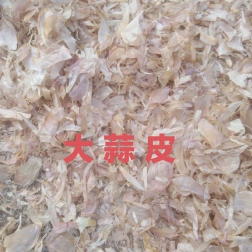 大蒜皮大蒜皮压块牛羊马驴兔饲料厂家直销
