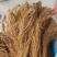 【推荐】云南精品龙胆草基地直供保质保量规格齐全量大从优