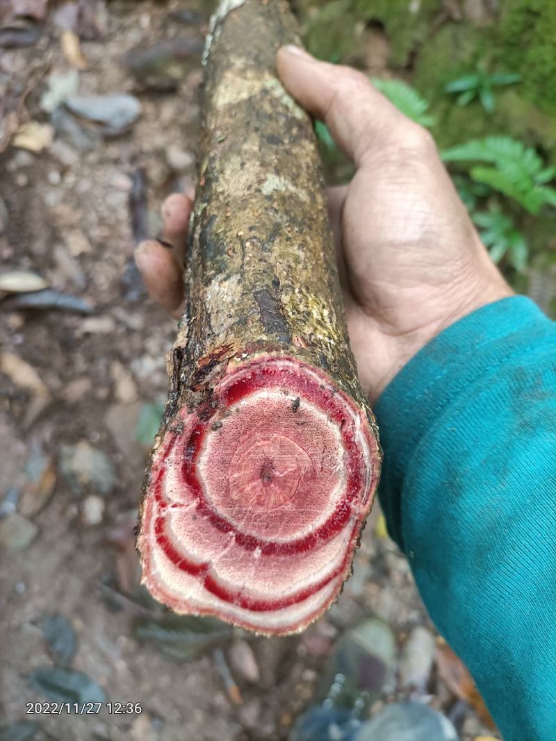 余甘果、鸡血藤