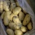 荷兰十五土豆希森土豆坤土豆大棚土豆黄皮黄心土豆产地直发