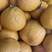 【果园现摘】优质桔柚产地直发对接全国批发商/商超，欢迎采购