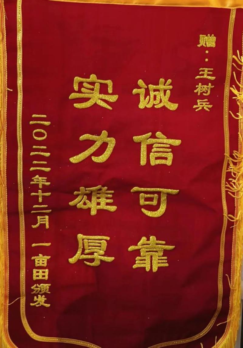 精品香菜，铁杆青，大叶香菜，一手货源，质量好，货发全国