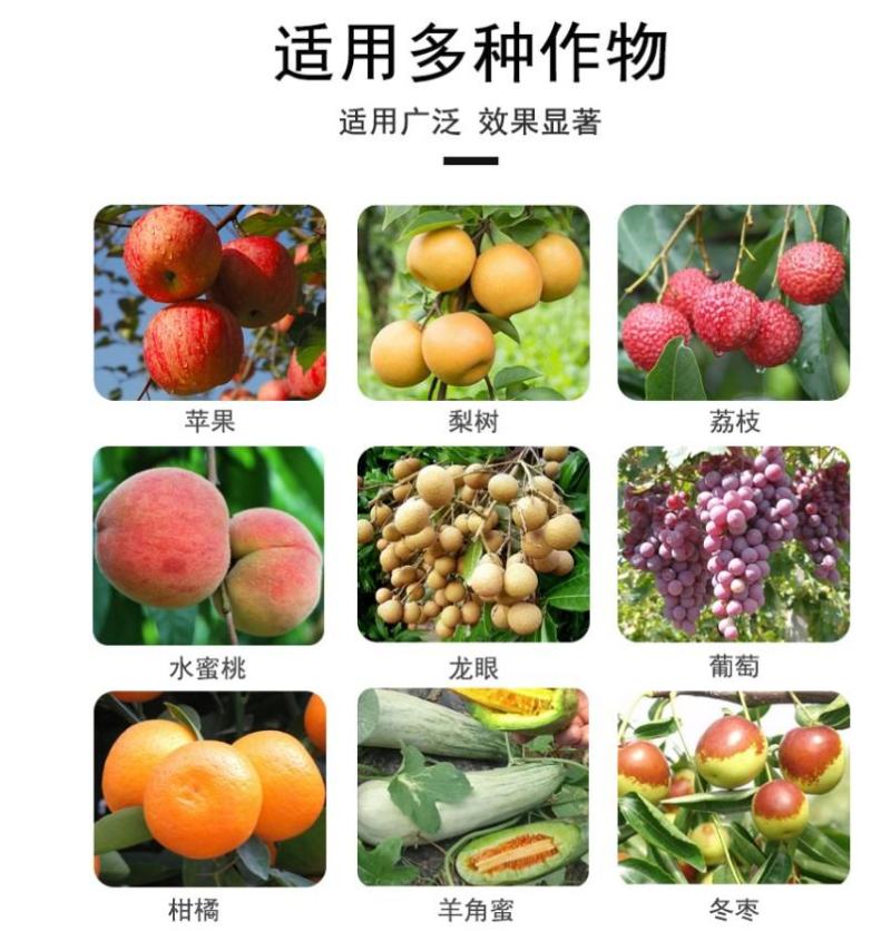 果大靓荔枝樱桃草莓葡萄番茄冬枣膨大素上色着色膨果叶面肥