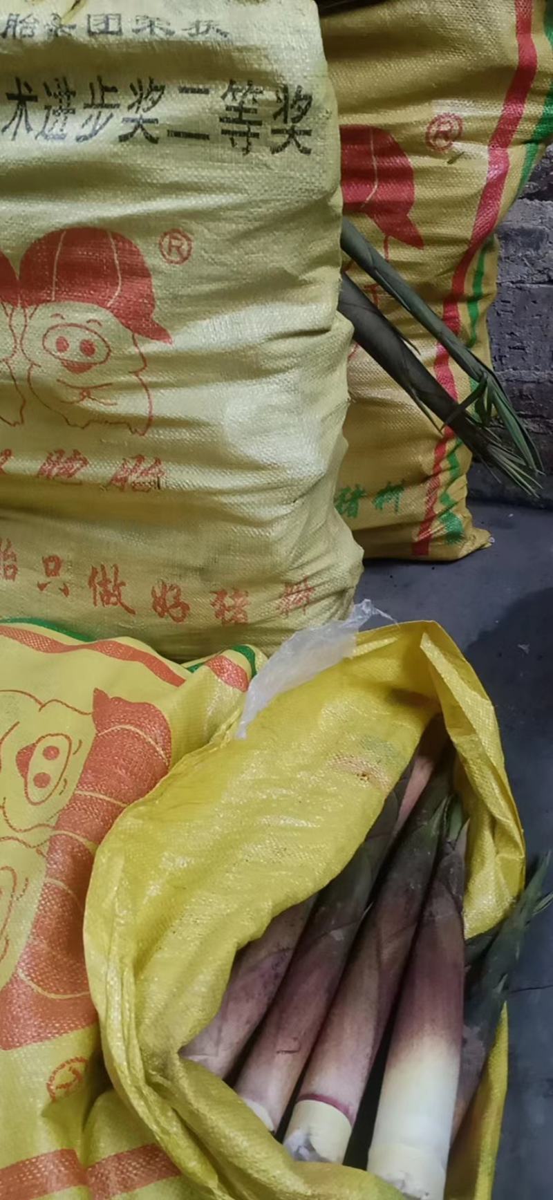 一年一度的春笋又来咯！纯野生的绿色元公害竹笋！