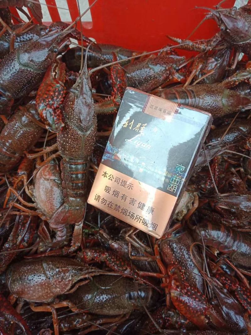 潜江小龙虾