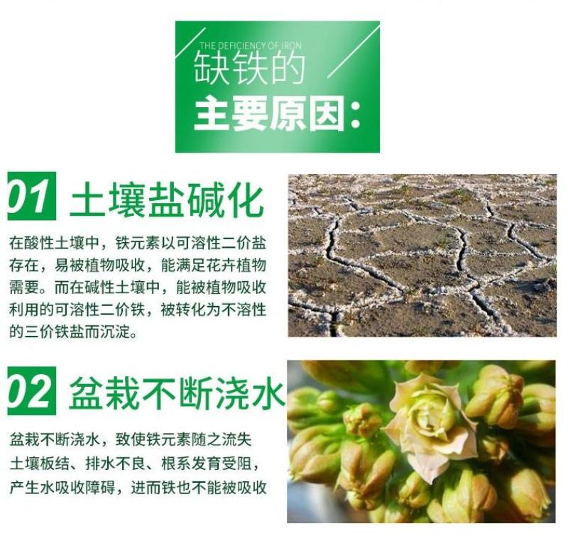螯合铁肥液体铁预防黄叶黄化快速补铁绿叶提高光合作用