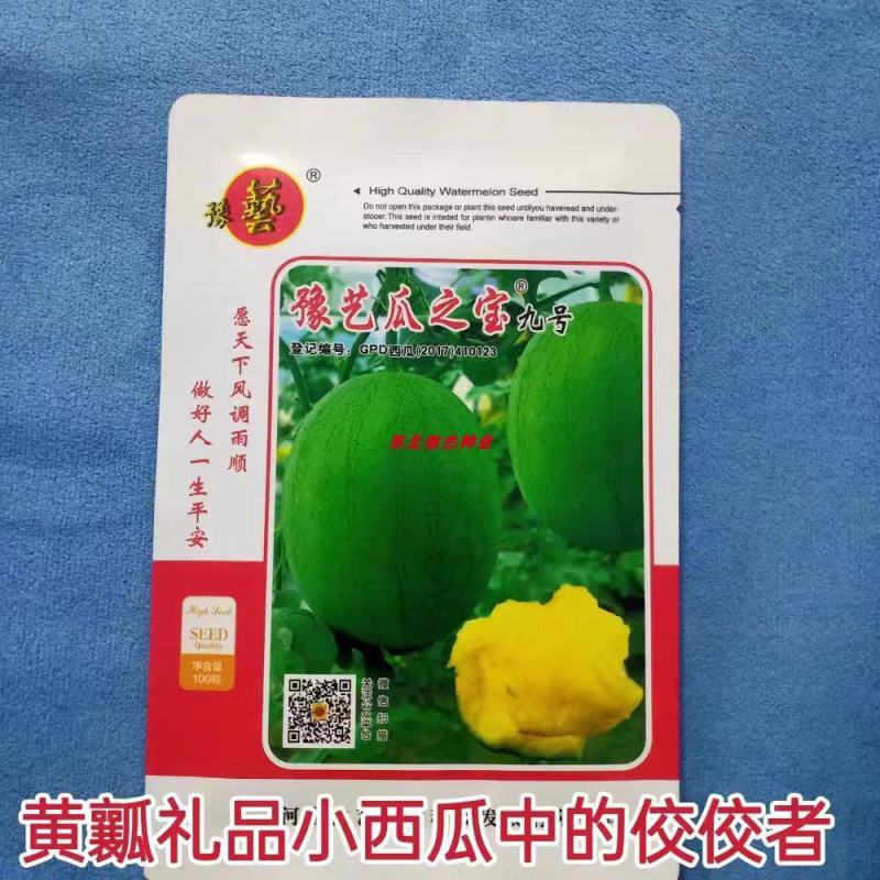 豫艺瓜之宝九号礼品西瓜种子皮薄单株座果3个感口好果肉黄