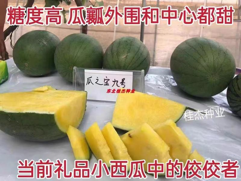 豫艺瓜之宝九号礼品西瓜种子皮薄单株座果3个感口好果肉黄