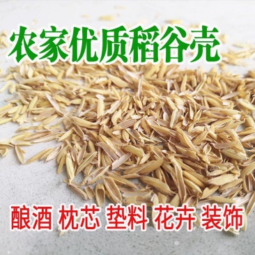 稻壳新鲜稻壳批发价酿酒做枕芯动物铺垫水稻壳现磨
