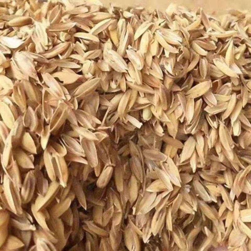 稻壳新鲜稻壳批发价酿酒做枕芯动物铺垫水稻壳现磨