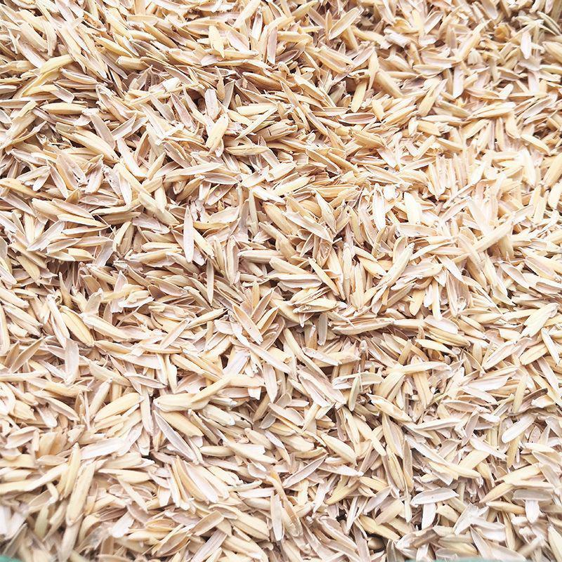 稻壳新鲜稻壳批发价酿酒做枕芯动物铺垫水稻壳现磨