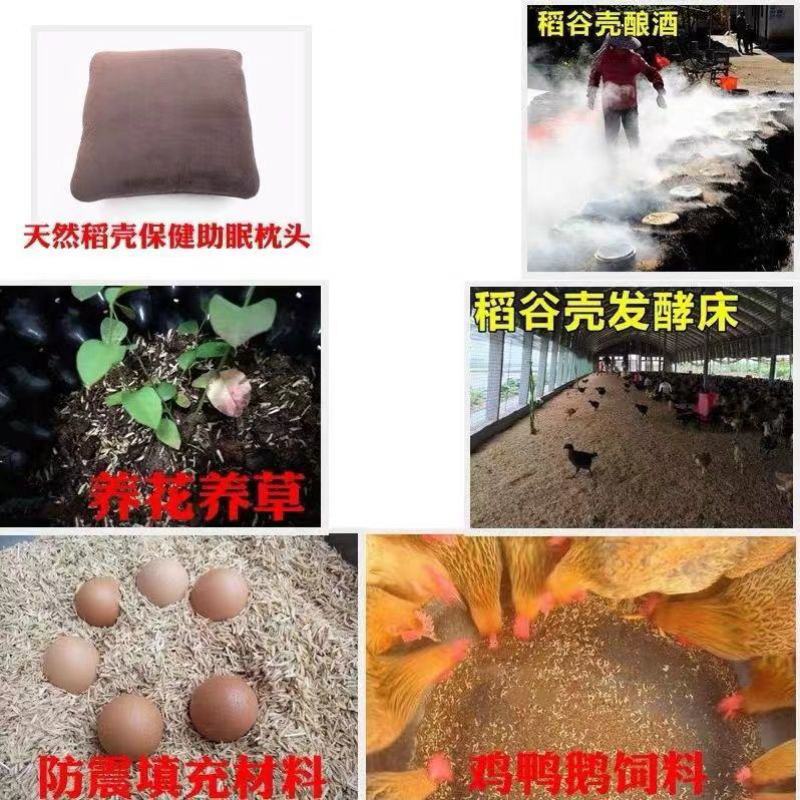 稻壳新鲜稻壳批发价酿酒做枕芯动物铺垫水稻壳现磨