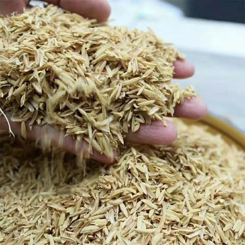 稻壳新鲜稻壳批发价酿酒做枕芯动物铺垫水稻壳现磨