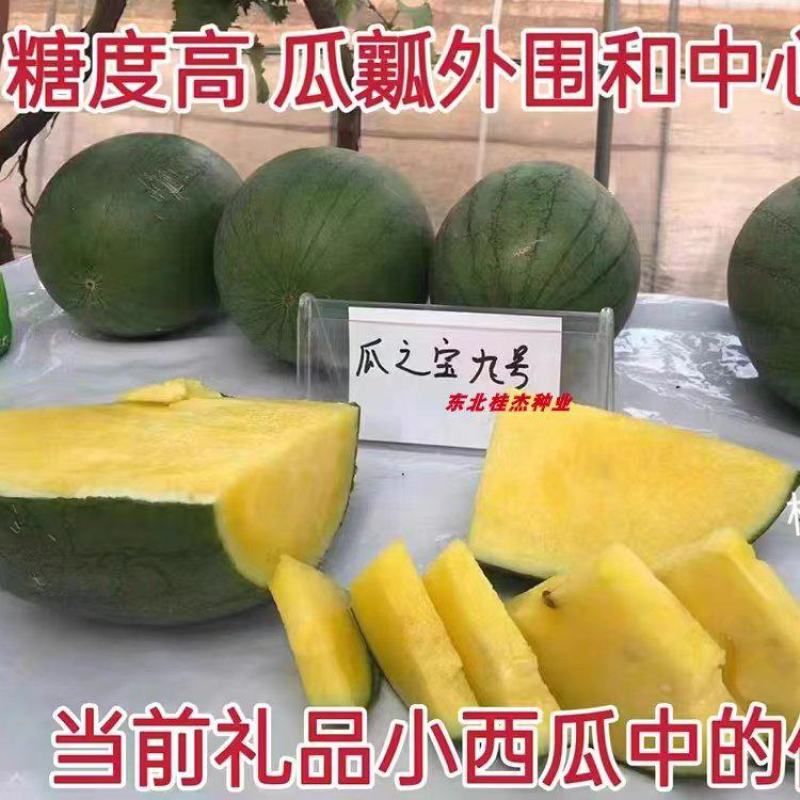 豫艺瓜之宝九号礼品西瓜种子皮薄单株座果3个感口好果肉黄