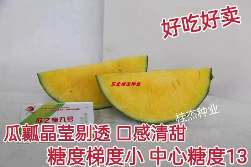 豫艺瓜之宝九号礼品西瓜种子皮薄单株座果3个感口好果肉黄