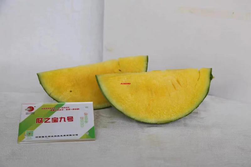 豫艺瓜之宝九号礼品西瓜种子皮薄单株座果3个感口好果肉黄