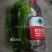 墨玉166辣椒种子大果薄皮泡椒种子抗糊头耐高温耐热浅绿皮