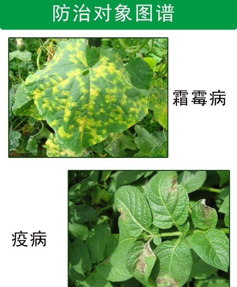 利民快克80%三乙膦酸铝乙磷铝霜霉病疫病杀菌剂
