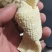素鸡豆制品卤炖商用油炸豆腐皮河南特产干菜千张结