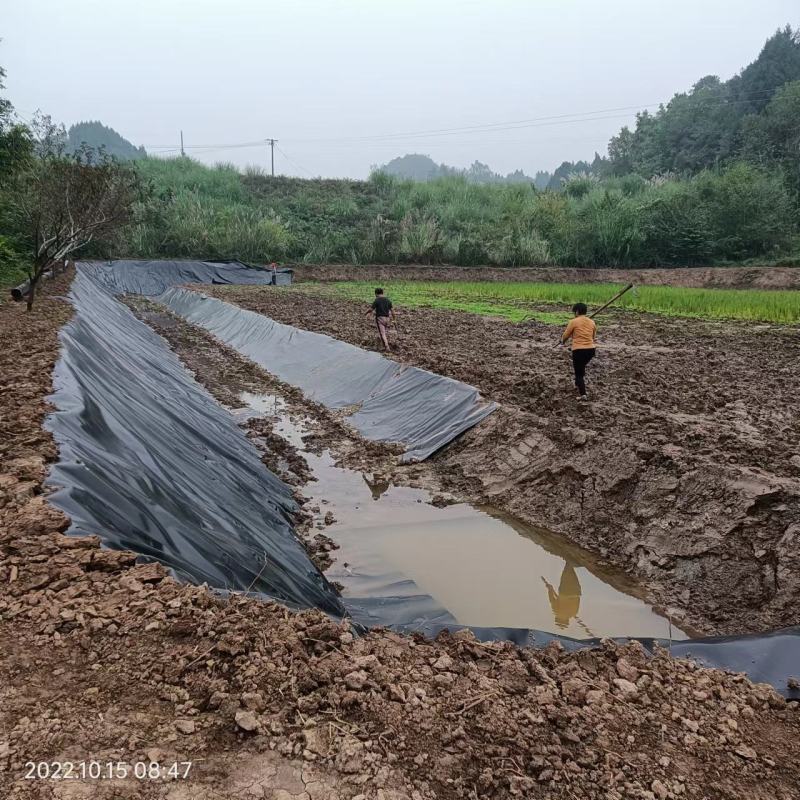 土工膜复合定制鱼塘养殖防渗膜hdpe土工膜